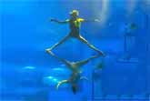Real-Life Mermaids Glide in Perfect Harmony Underwater